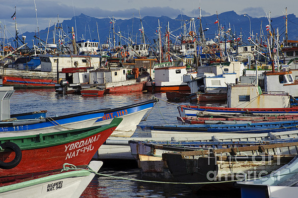 Wooden Fishing Boats In Harbor, Chile Tote Bag by John Shaw - Science  Source Prints - Website