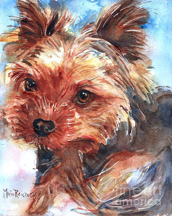 Yorkie Beach Towel - Watercolor