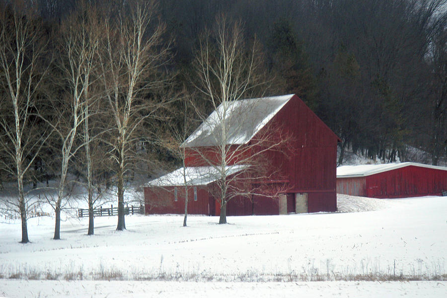 Holmes County Photograph -           Red Barn by R A W M  