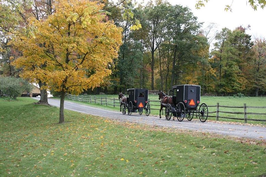 Fall Photograph -      An Autumn Amish Ride by R A W M  