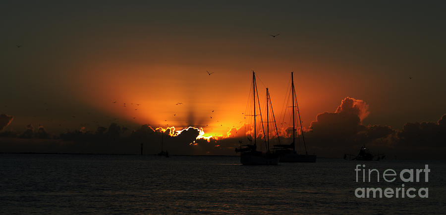      Marine Splendour - Sunset    Photograph by Geoff Childs