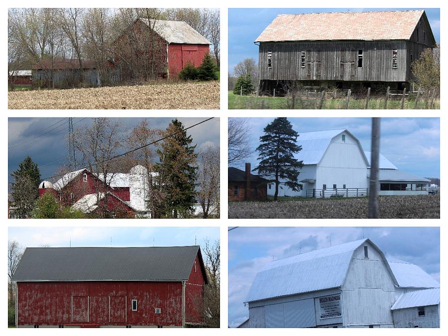 Ohio Barn Collage Photograph