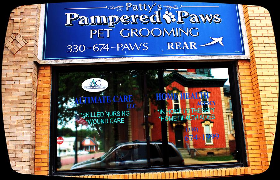 Millersburg Photograph -        Pampered Paws by R A W M  
