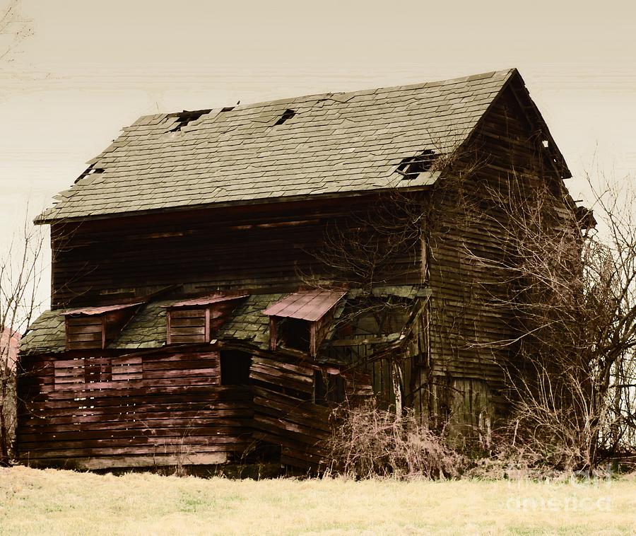  A Barn With Issues Photograph by Marcia Lee Jones