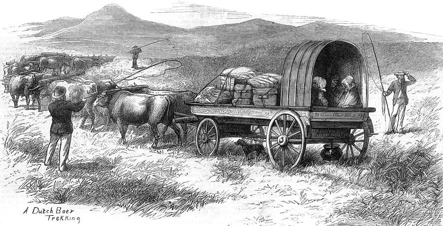 A Dutch Boer Family Trekking Drawing by Illustrated London News Ltd/Mar ...