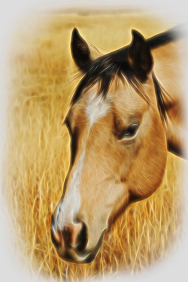A Horse Digital Art Digital Art by Ernie Echols