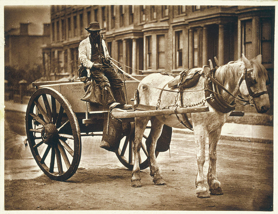 London Photograph -  A London Water Seller In His  Cart by Mary Evans Picture Library