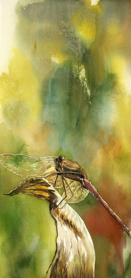  A Lost Dragonfly Painting by Alfred Ng