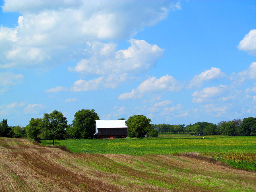 A Very Peaceful Feeling Photograph by Tina M Wenger - Fine Art America