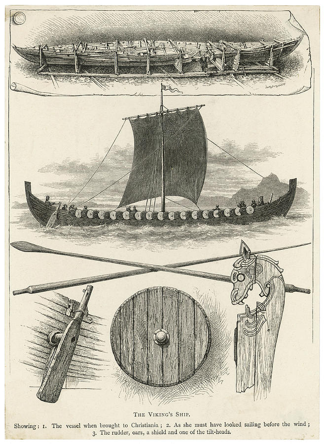 A Viking Ship And Her Features Drawing by Mary Evans Picture Library ...