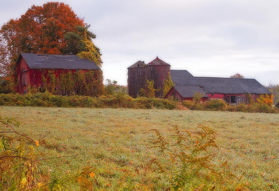  Abandoned Connecticut Farm  Photograph by John Vose