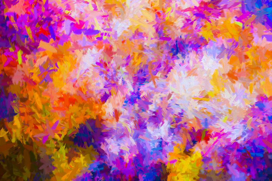 Abstract Color Digital Art