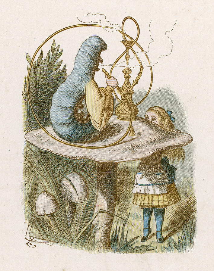 Book Drawing -  Alice And The Caterpillar         Date by Mary Evans Picture Library