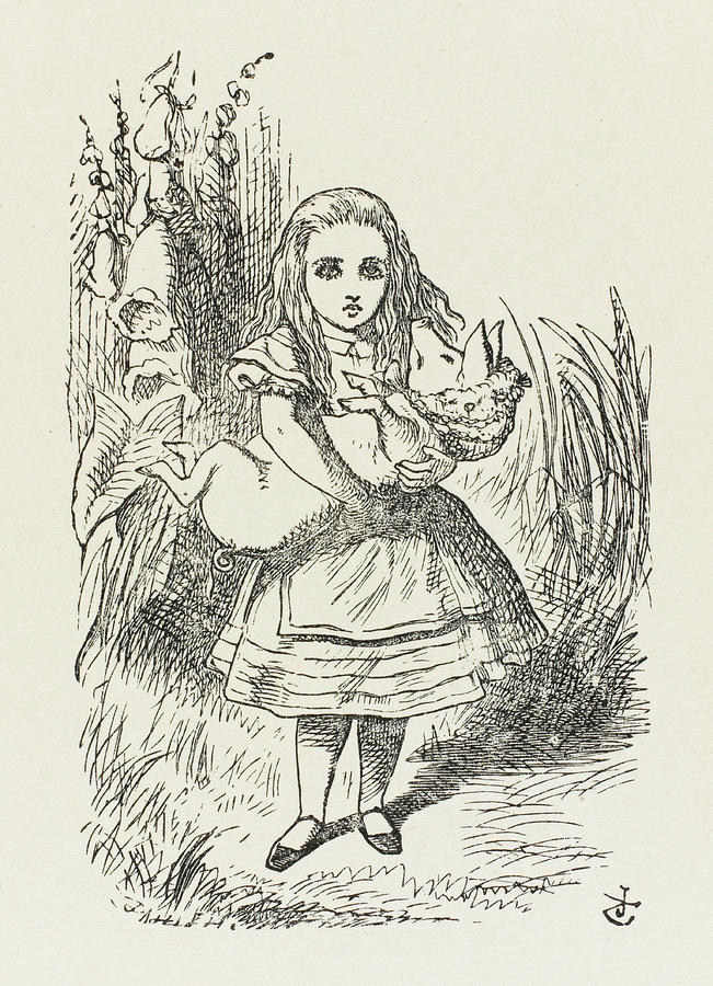 Alice With The Pig-baby Date Drawing by Mary Evans Picture Library ...
