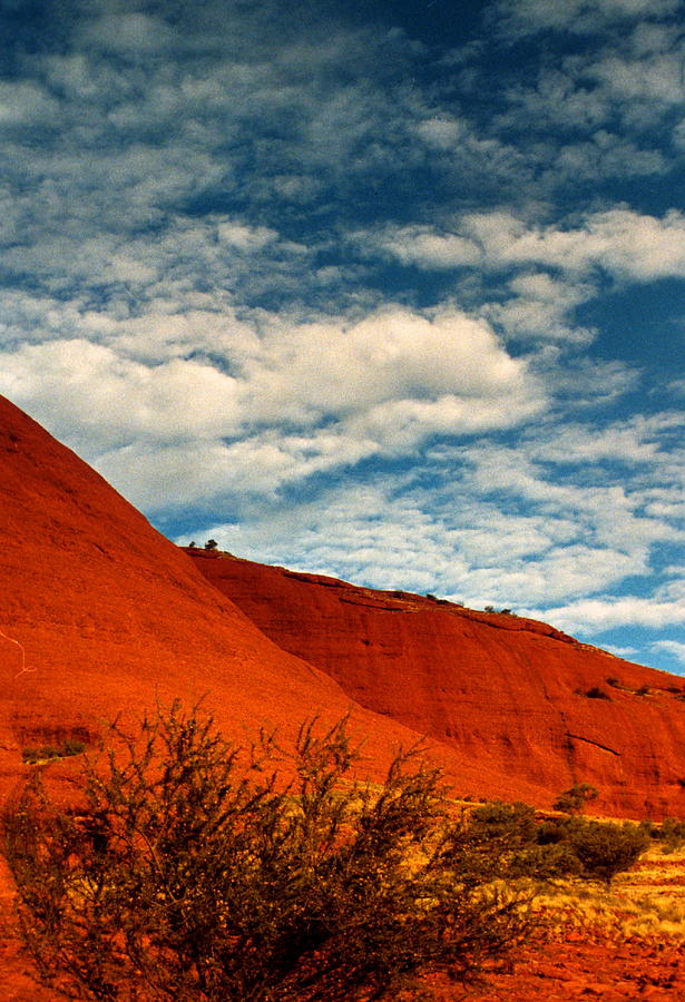  Australia - Desert Majesty Photograph by Jacqueline M Lewis