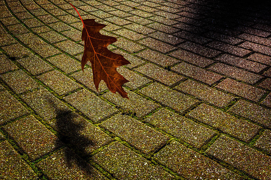  Autumnal Equinox Photograph by Bob Orsillo