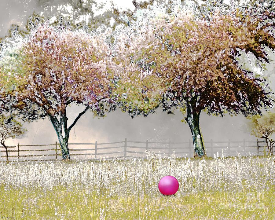  Ball Field with Rolling Roger Digital Art by Lizi Beard-Ward