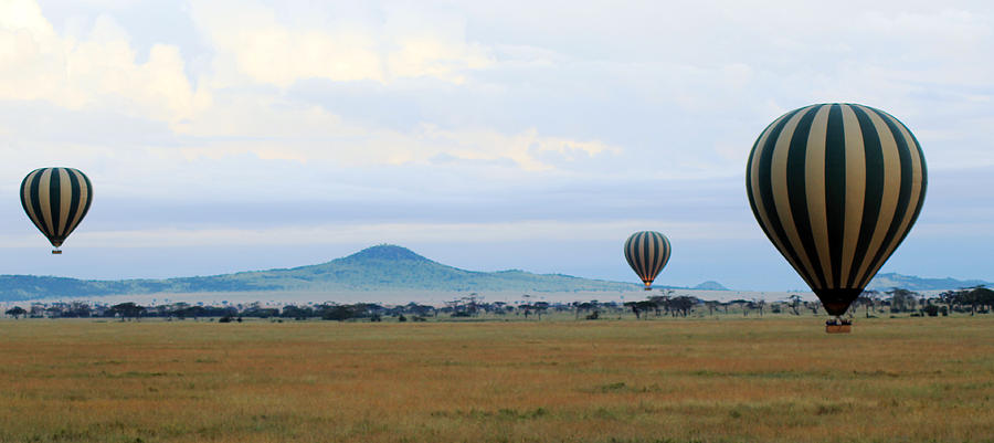  Balloons over Serengeti Photograph by Tony Murtagh