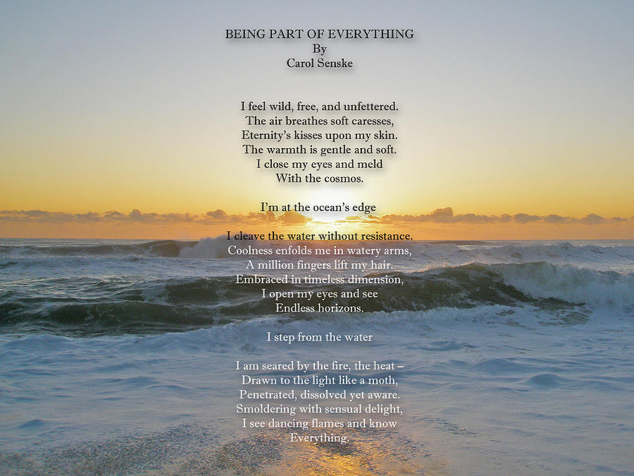  Being Part Of Everything - Poem and Image Photograph by Carol Senske