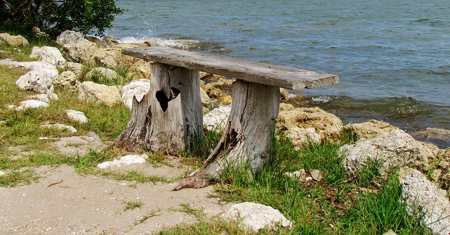 Unique Photograph -  Bench By The Sea by Cynthia Guinn