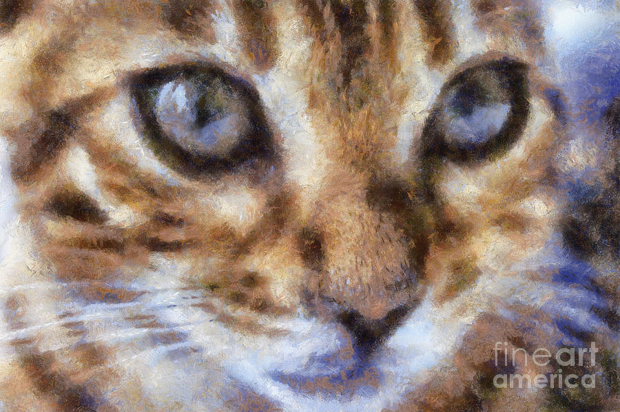  Bengal Kitten Painting by Teresa Zieba