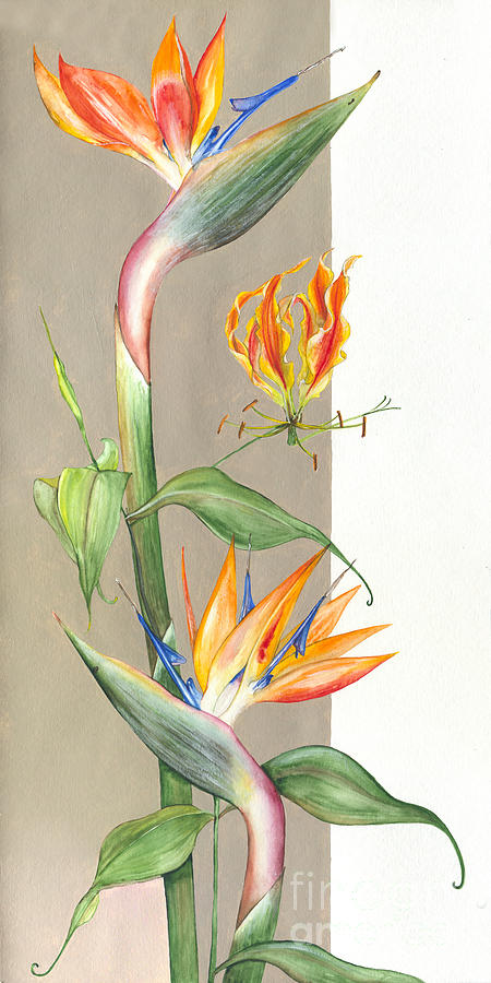 Flower Painting -  Bird of paradise 09 Elena Yakubovich by Elena Daniel Yakubovich