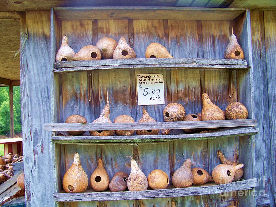 Birdhouse Gourds For Sale Photograph by Chuck Hicks Fine Art America