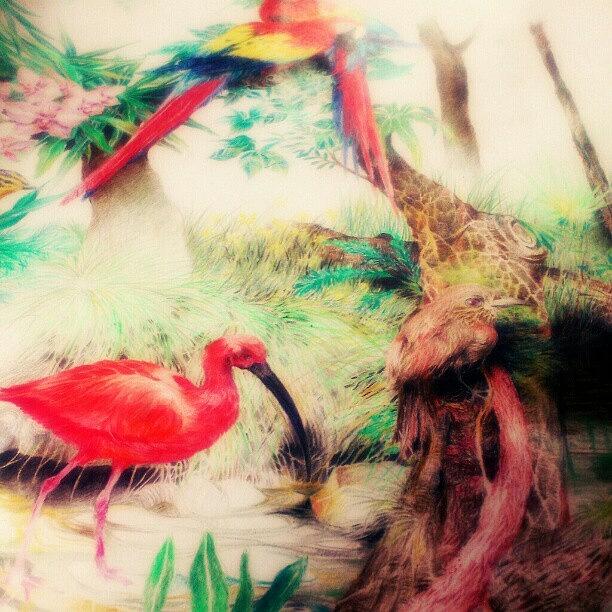 Nature Photograph - .: Birds Paradise :.
#arts #artworks by Reza Luqman