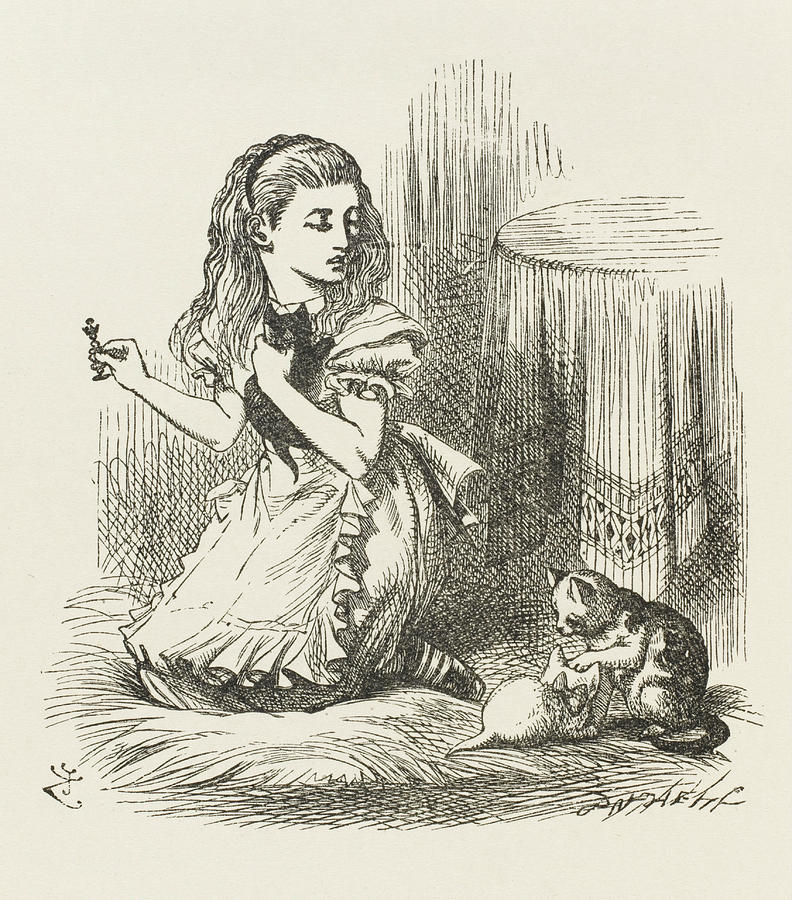 Black Kitten Alice Plays Drawing by Mary Evans Picture Library - Fine ...