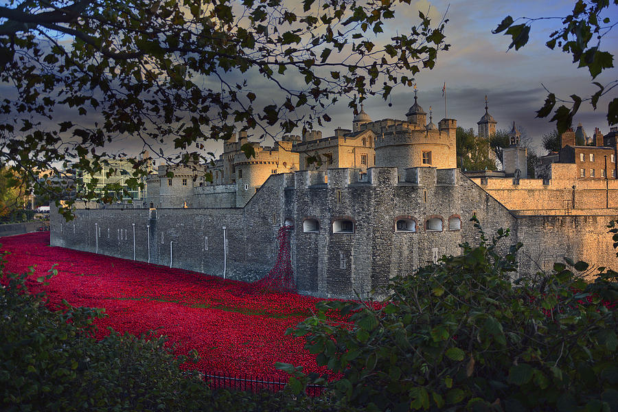  Blood Swept Lands and Seas of Red. Photograph by Jason Green