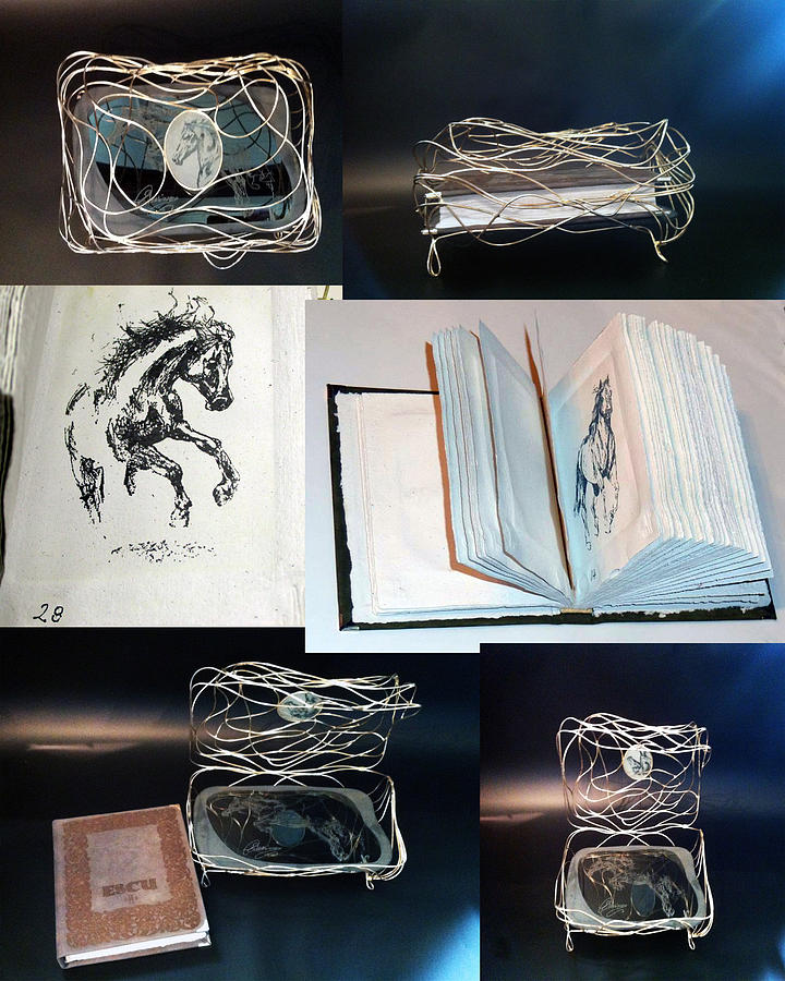 Horse Mixed Media -  Book 2 of 11  by Nicu Dumitrescu
