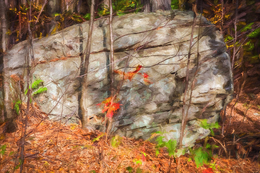  Boulder Red Leaves George W Childs National Park Painted  Photograph by Rich Franco