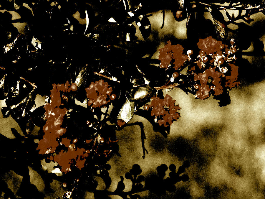  Brown Flowers Mixed Media by Gayle Price Thomas