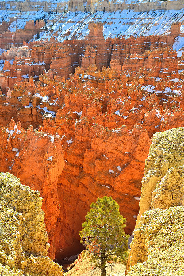  Bryce Canyon #12 Photograph by Ray Mathis