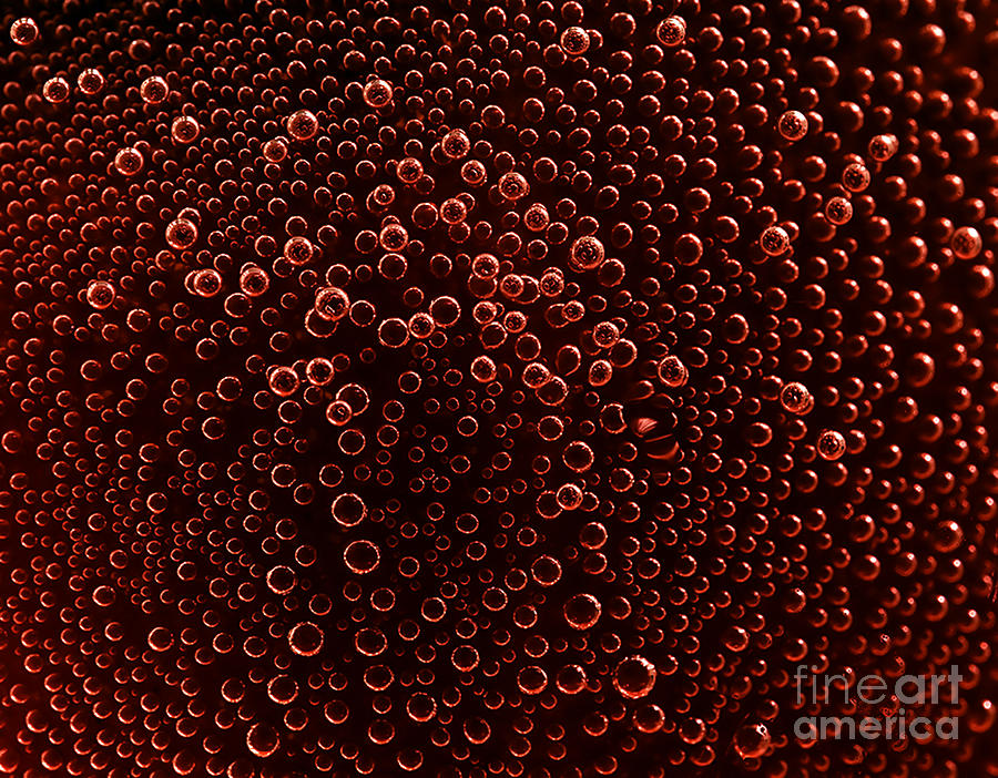 Bubbles of red wine from the different foreshortening in glass