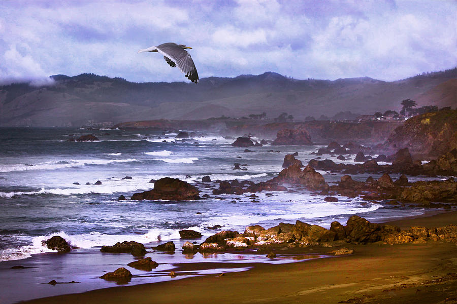  California Highway 1  Photograph by Kandy Hurley