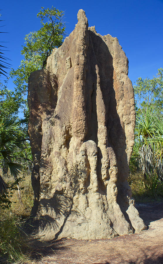  Cathedral Termite Mound Australia Photograph by Venetia Featherstone-Witty