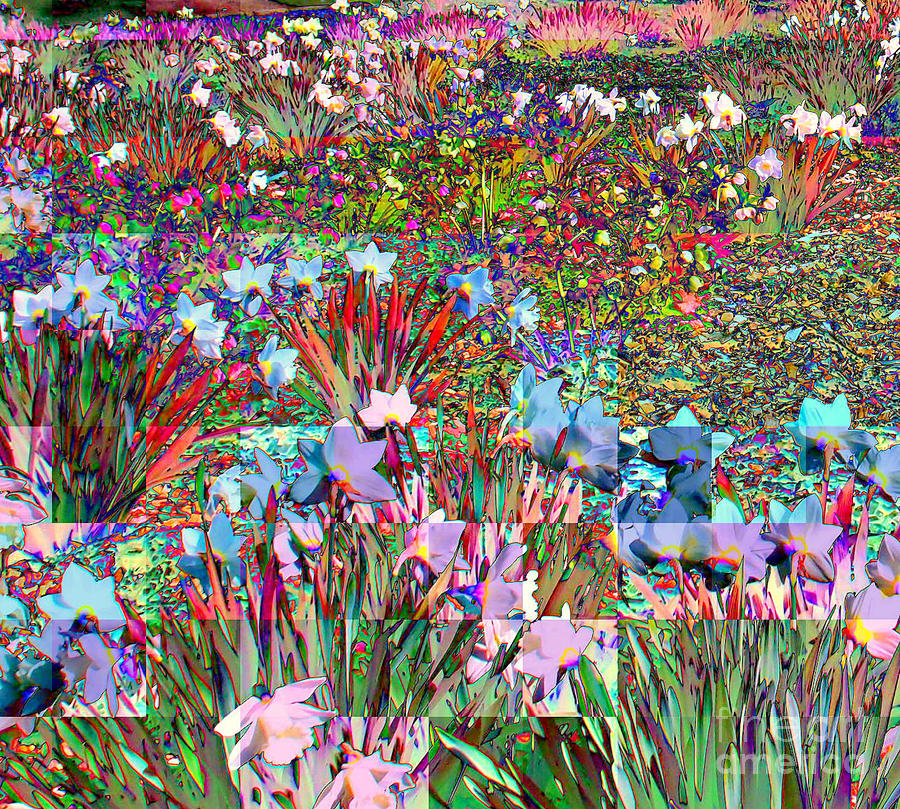  Central Park - Daffodil Garden - Detail Photograph by Miriam Danar
