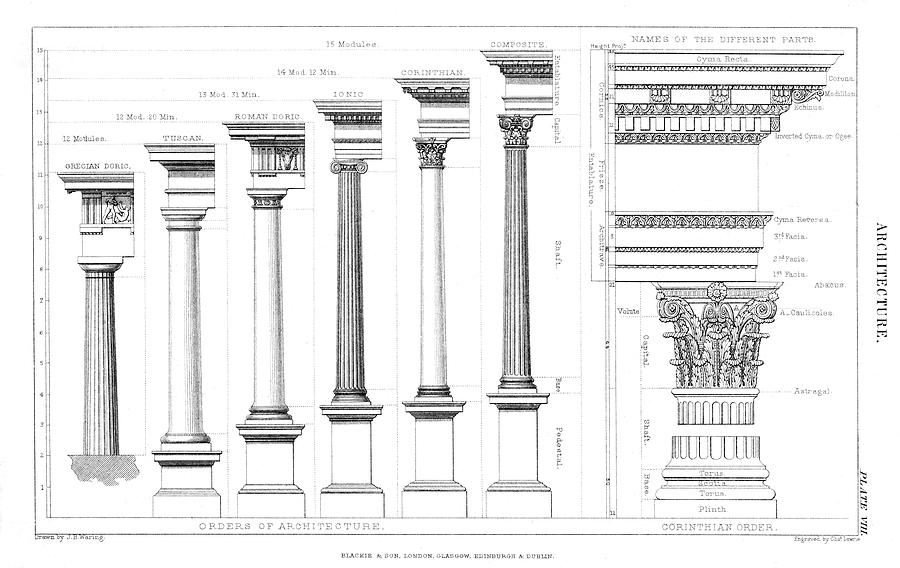 Classical Designs Drawing by Mary Evans Picture Library - Fine Art America