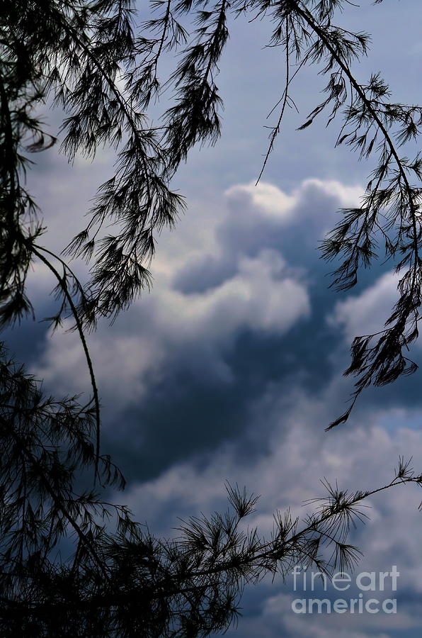 Cloudy Photograph By Michelle Meenawong Fine Art America