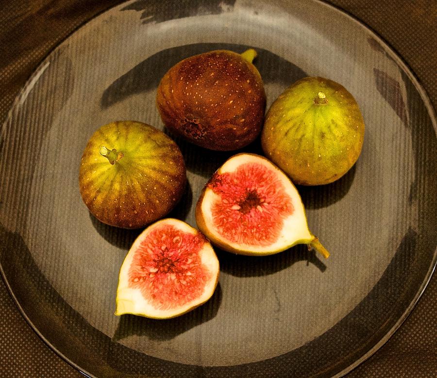  Common Fig Ficus carica Photograph by Venetia Featherstone-Witty