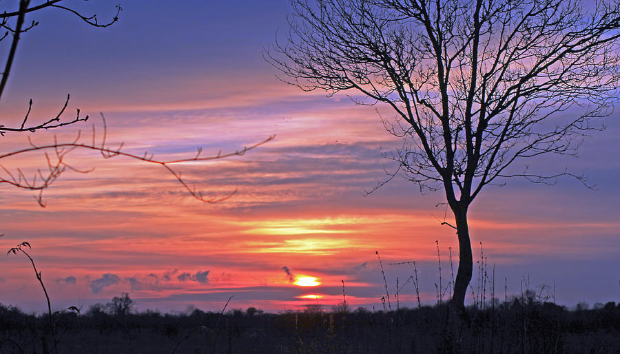  Countryside Sunset Photograph by Tony Murtagh