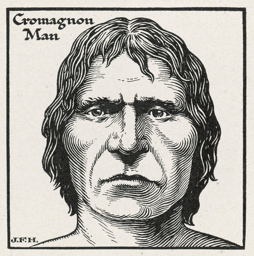 Cromagnon Man (homo Sapiens) Drawing by Mary Evans Picture Library