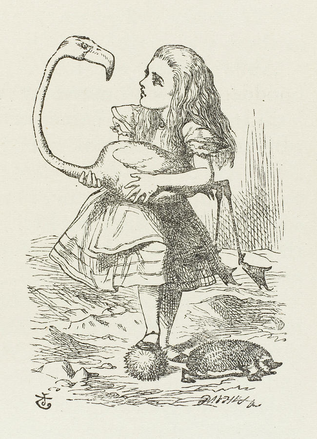 Croquet Alice With The Flamingo Drawing by Mary Evans Picture Library ...