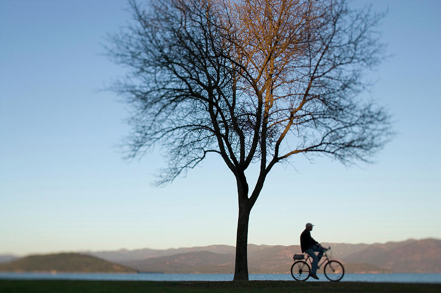 Fall Photograph -  Cyclist Riding Next To Lone Tree by Woods Wheatcroft