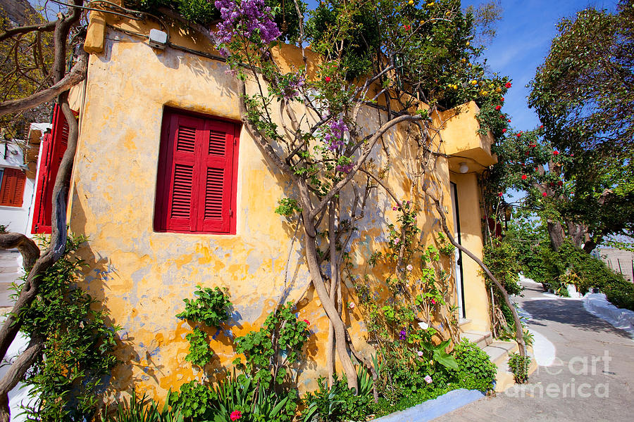Greek Photograph -  Decorated house with plants by Aiolos Greek Collections