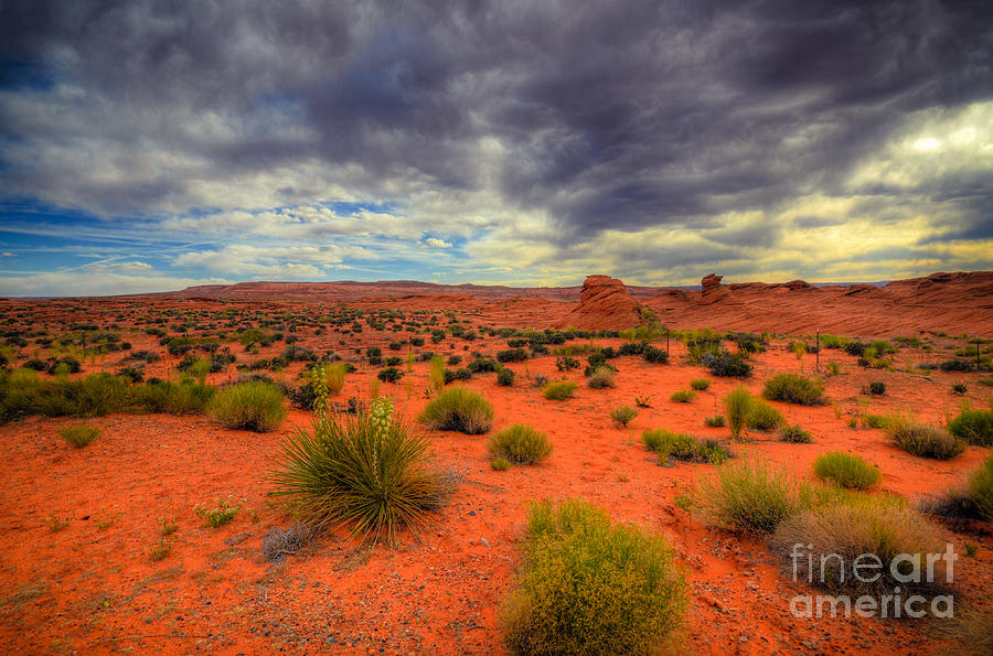  Desert Evening Photograph by Kelly Wade