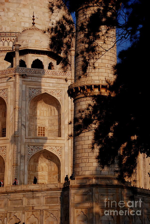  Detail of Taj Mahal Photograph by Jacqueline M Lewis