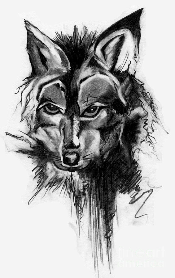 Dire Wolf Drawing by Ken Nguyen.