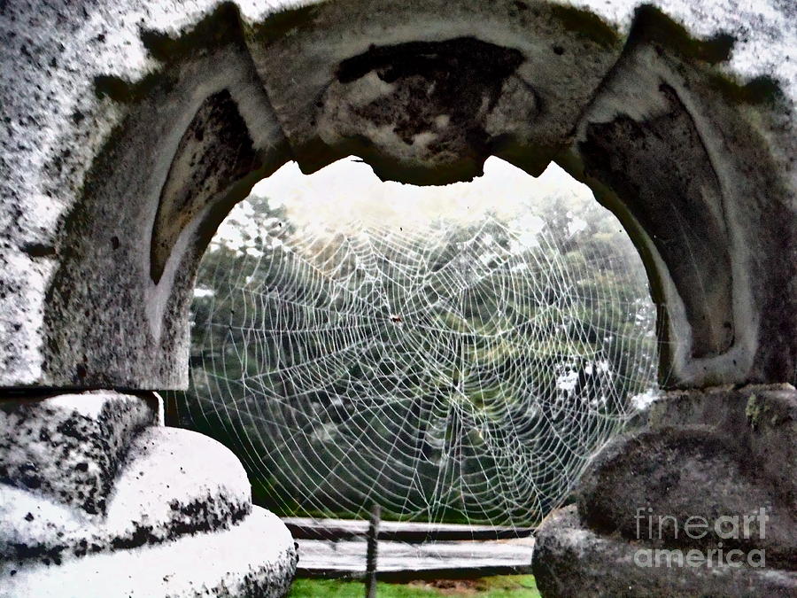  Double Webs Under Tombstone Arch Photograph by Paddy Shaffer